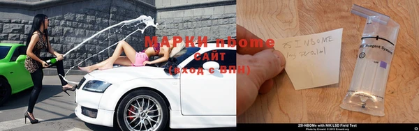 прущие грибы Балабаново