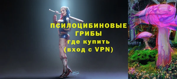 прущие грибы Балабаново