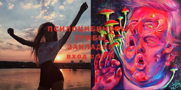 прущие грибы Балабаново