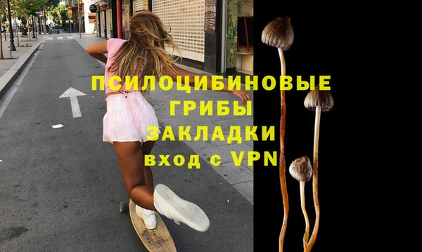 прущие грибы Балабаново