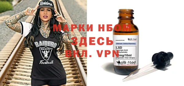 прущие грибы Балабаново