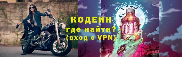 прущие грибы Балабаново