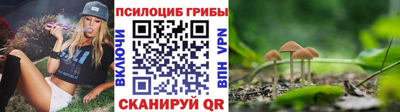 Купить закладки  Невель  Галлюциногенные грибы мицелий 