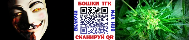 Бошки Шишки Amnesia  Купить где  Невель 